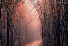 必赢Bwin官网：[英超]第33轮：曼城5-1卢顿 集锦.