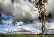 德转列英超最贵阵容:哈兰德、伊萨克领衔,阿森纳5人在列.